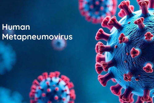 Human-Metapneumovirus