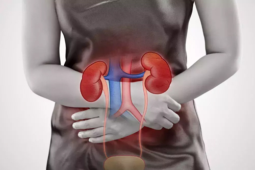UTI-Recurrence